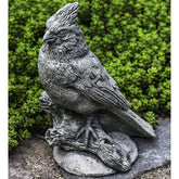 Photo of Campania Northern Cardinal - Exclusively Campania